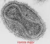 variola