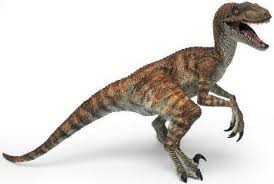 velociraptor
