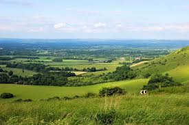 weald