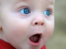 wonderment