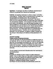 write-up