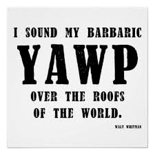 yawp