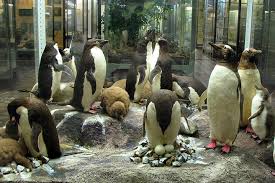 zoological