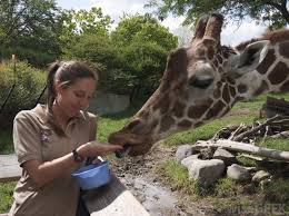 zoologist